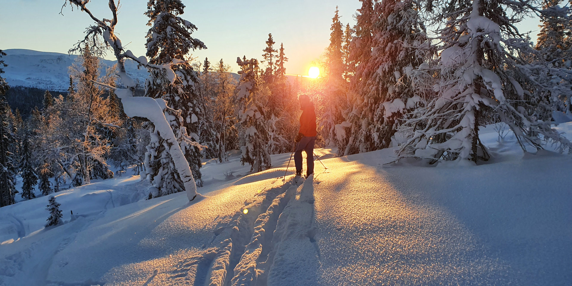 Djupsnö i skogen