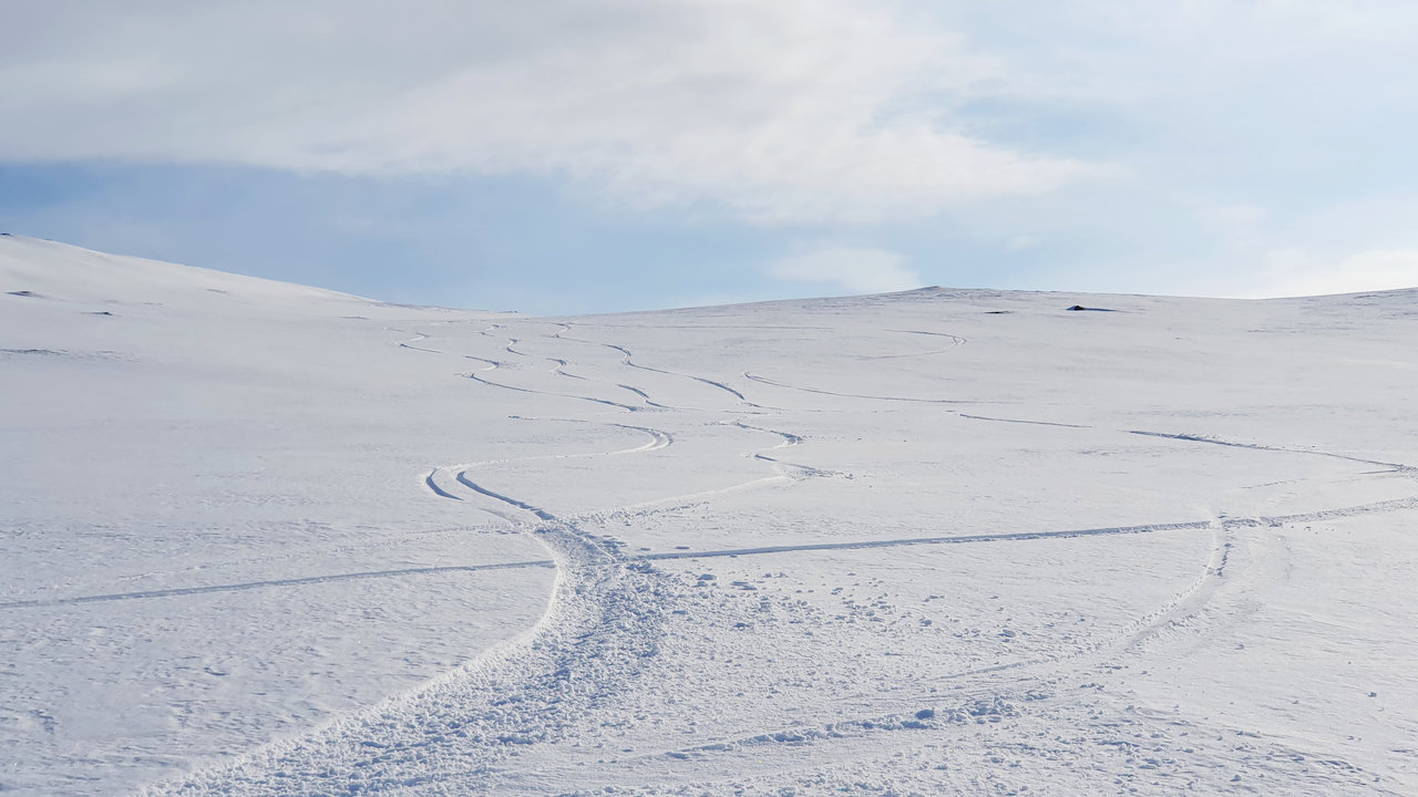 Kalfjällsåkning