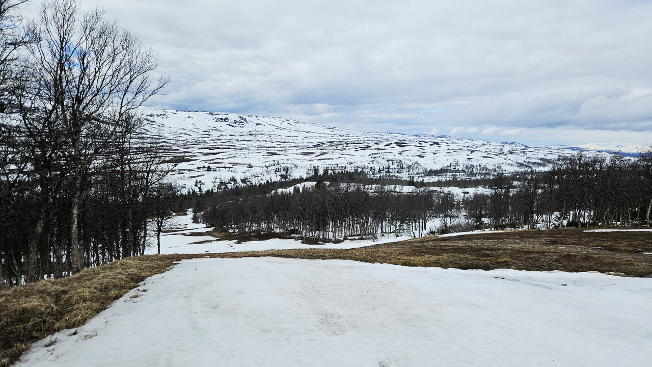 Terränghinder
